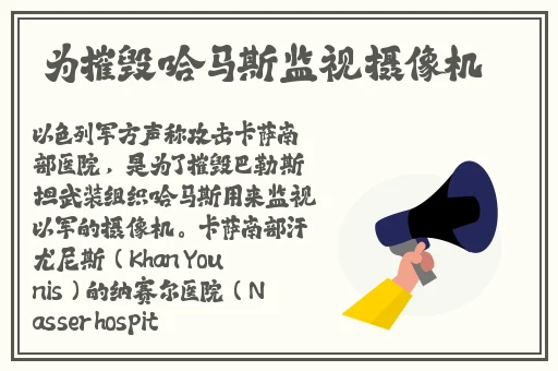 八重神子雷电将军开襟